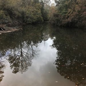 Meet your Posher, Bobby